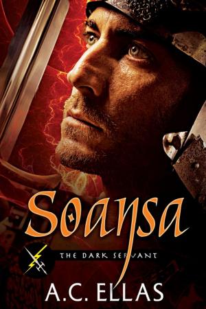 Cover of the book Soansa by Caitlin West