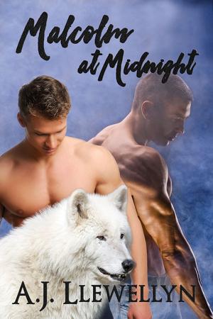 Cover of the book Malcolm at Midnight by Angie Fox