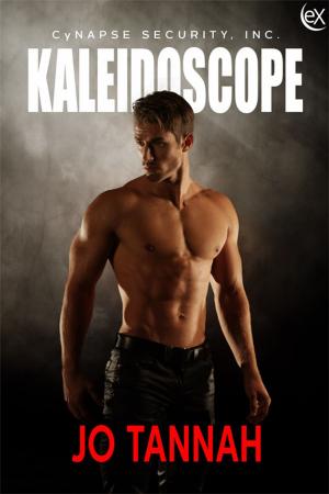 Cover of the book Kaleidoscope by Lark Westerly