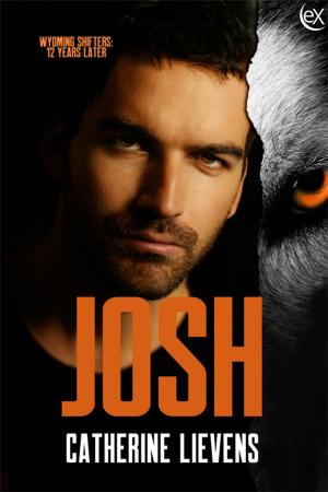 Cover of the book Josh by Caitlin Ricci