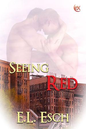 Cover of the book Seeing Red by Synithia Williams