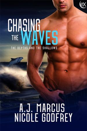 Book cover of Chasing the Waves