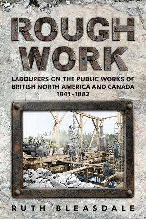 Cover of the book Rough Work by Robyn Malo