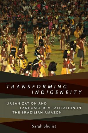 Cover of the book Transforming Indigeneity by Stanley Barrett