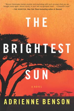 Cover of The Brightest Sun