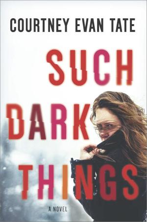 Cover of the book Such Dark Things by Jon Land