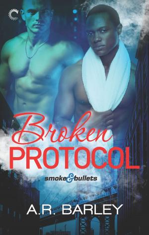 Cover of the book Broken Protocol by R.L. Naquin