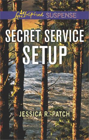 Cover of the book Secret Service Setup by Dana Archer, Nancy Corrigan