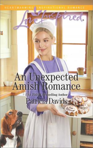 bigCover of the book An Unexpected Amish Romance by 