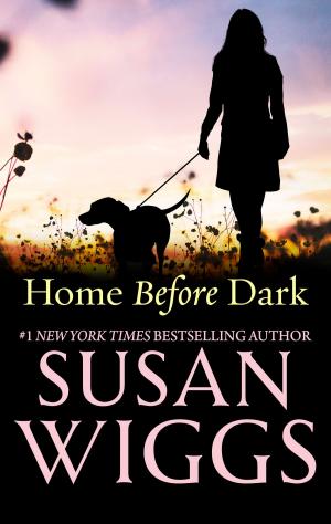 Cover of the book Home Before Dark by Brenda Novak