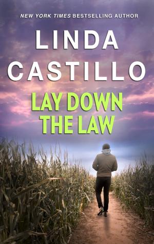 Cover of the book Lay Down the Law by Laura Scott