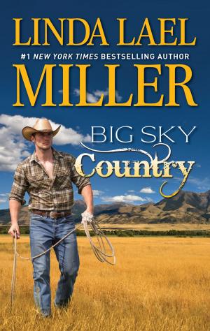 Cover of the book Big Sky Country by Delores Fossen