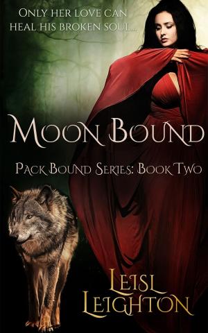 Cover of the book Moon Bound by Ainslie Paton