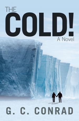 Cover of the book The Cold! by Kevin Shell