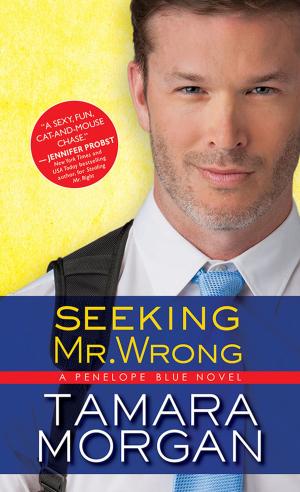 Cover of the book Seeking Mr. Wrong by Paige Tyler