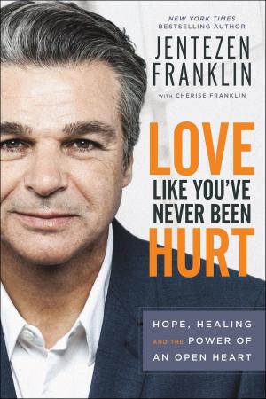 Book cover of Love Like You've Never Been Hurt