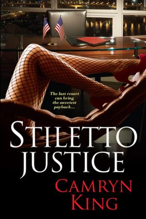Cover of the book Stiletto Justice by Amanda Skenandore