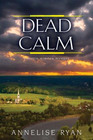 Cover of the book Dead Calm by Brigid Kemmerer