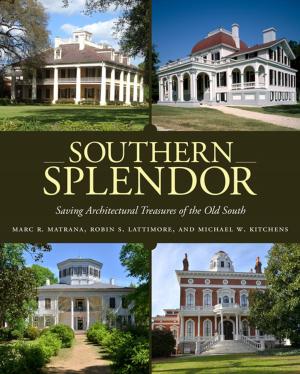 Cover of the book Southern Splendor by Eric A. Eliason