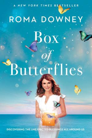 Book cover of Box of Butterflies