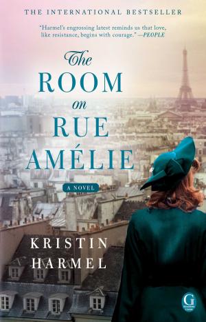 Cover of the book The Room on Rue Amélie by Davy Rothbart