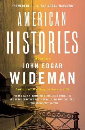 Book cover of American Histories