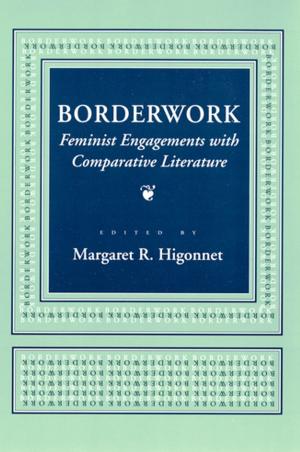 Cover of the book Borderwork by Irina Paperno