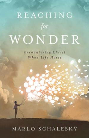 Cover of the book Reaching for Wonder by Robert Schnase