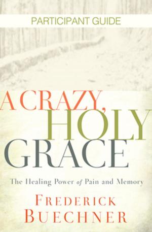 Cover of the book A Crazy, Holy Grace Participant Guide by Ken Ellis, Deb Ellis