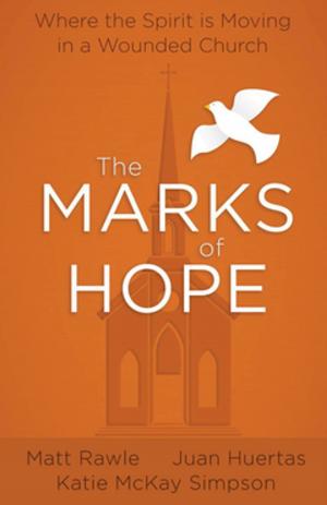 Cover of the book The Marks of Hope by Carole and David McEntee-Taylor