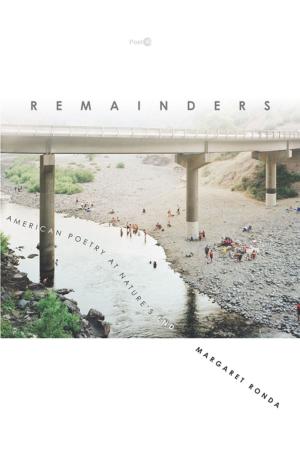 bigCover of the book Remainders by 