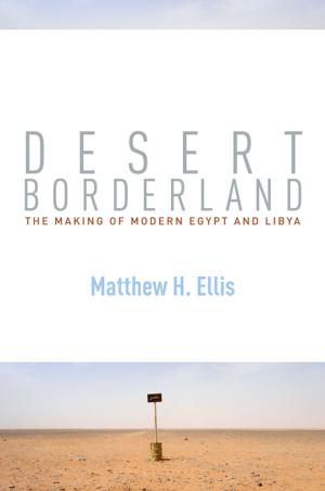 Cover of the book Desert Borderland by Jesse H. Rhodes