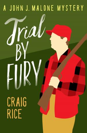 bigCover of the book Trial by Fury by 