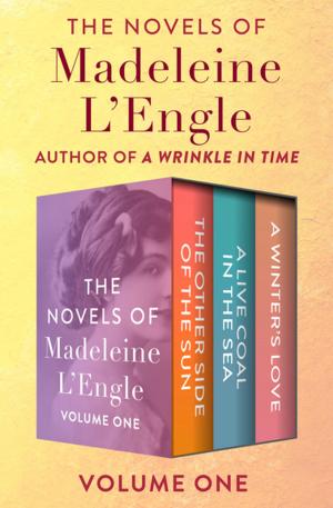 Book cover of The Novels of Madeleine L'Engle Volume One