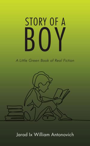 Cover of the book Story of a Boy by Mama Marlaine
