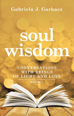 Cover of the book Soul Wisdom by Ian Newbegin