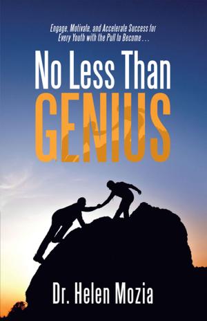Cover of the book No Less Than Genius by Oladeji Toluwaleke Olagoke