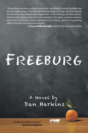 Cover of the book Freeburg by Sidate Demba Sene