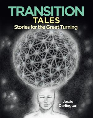 Cover of the book Transition Tales by Terran James