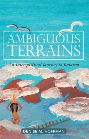 Cover of the book Ambiguous Terrains by H.B. Tawadi