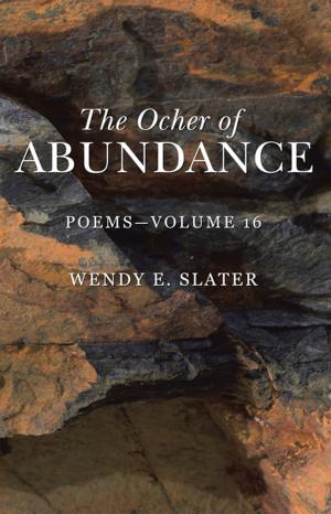 Book cover of The Ocher of Abundance