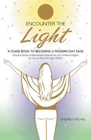 Cover of the book Encounter the Light by Debra Cummings