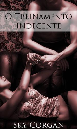 Cover of the book O Treinamento Indecente by Jill Gates