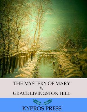 Cover of the book The Mystery of Mary by Theodore Roosevelt