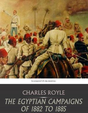 Cover of the book The Egyptian Campaigns of 1882 to 1885 by Herman Melville