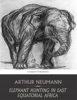 Cover of the book Elephant Hunting in East Equatorial Africa by Anonymous