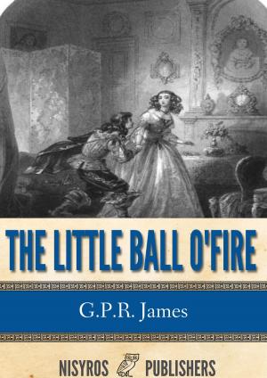 Book cover of The Little Ball O' Fire or the Life and Adventures of John Marston Hall