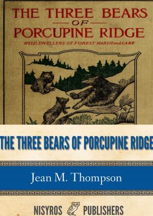 Cover of the book The Three Bears of Porcupine Ridge by Thomas Joyce
