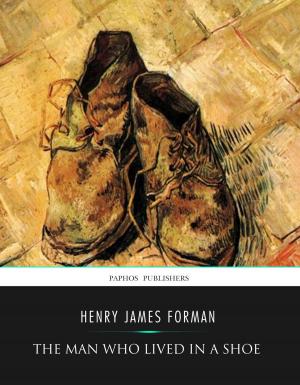 Cover of the book The Man Who Lived in a Shoe by Frederick Douglass