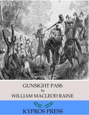 Cover of the book Gunsight Pass by Sidney Whitman